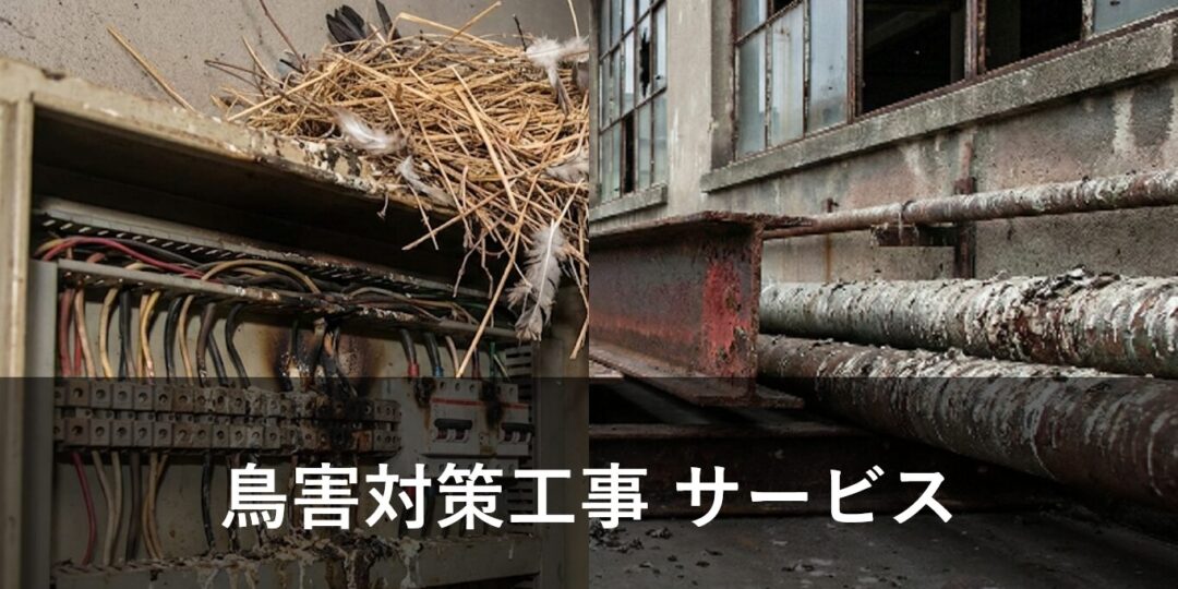 鳥害対策工事サービス